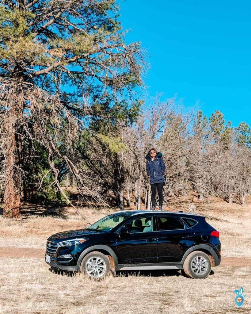 Kaibab National Forest, Arizona