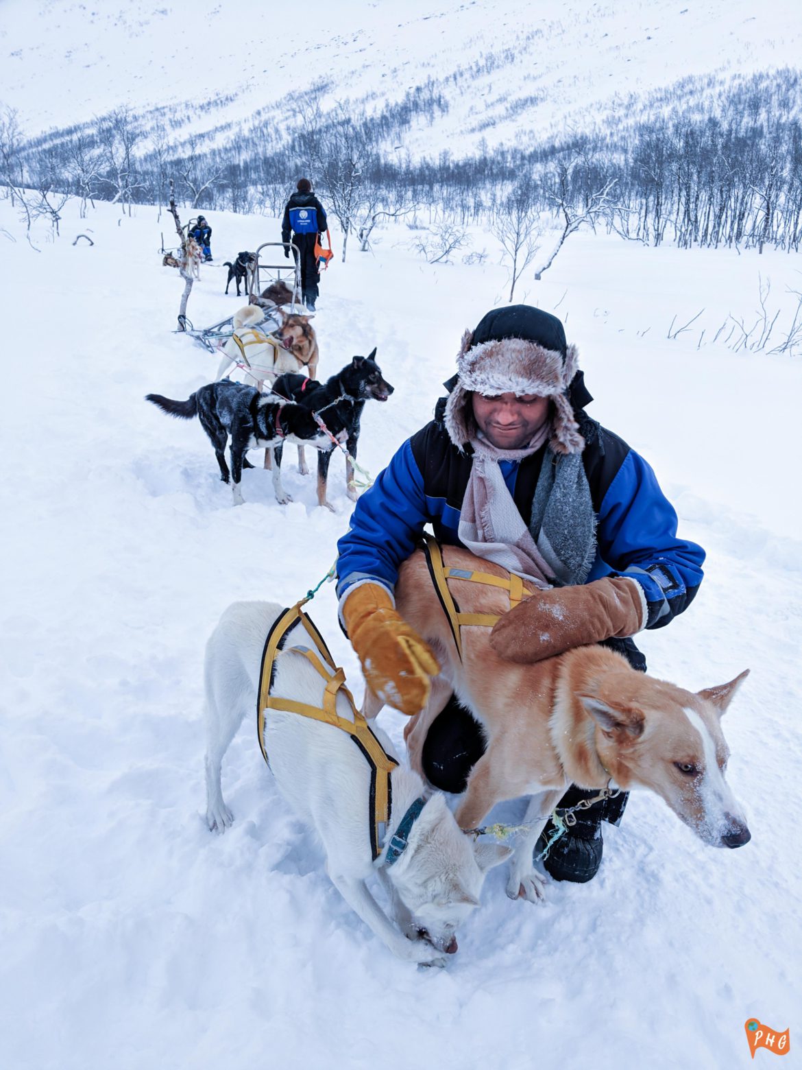 Dog Sledding In Tromso Norway A Memorable Adventure