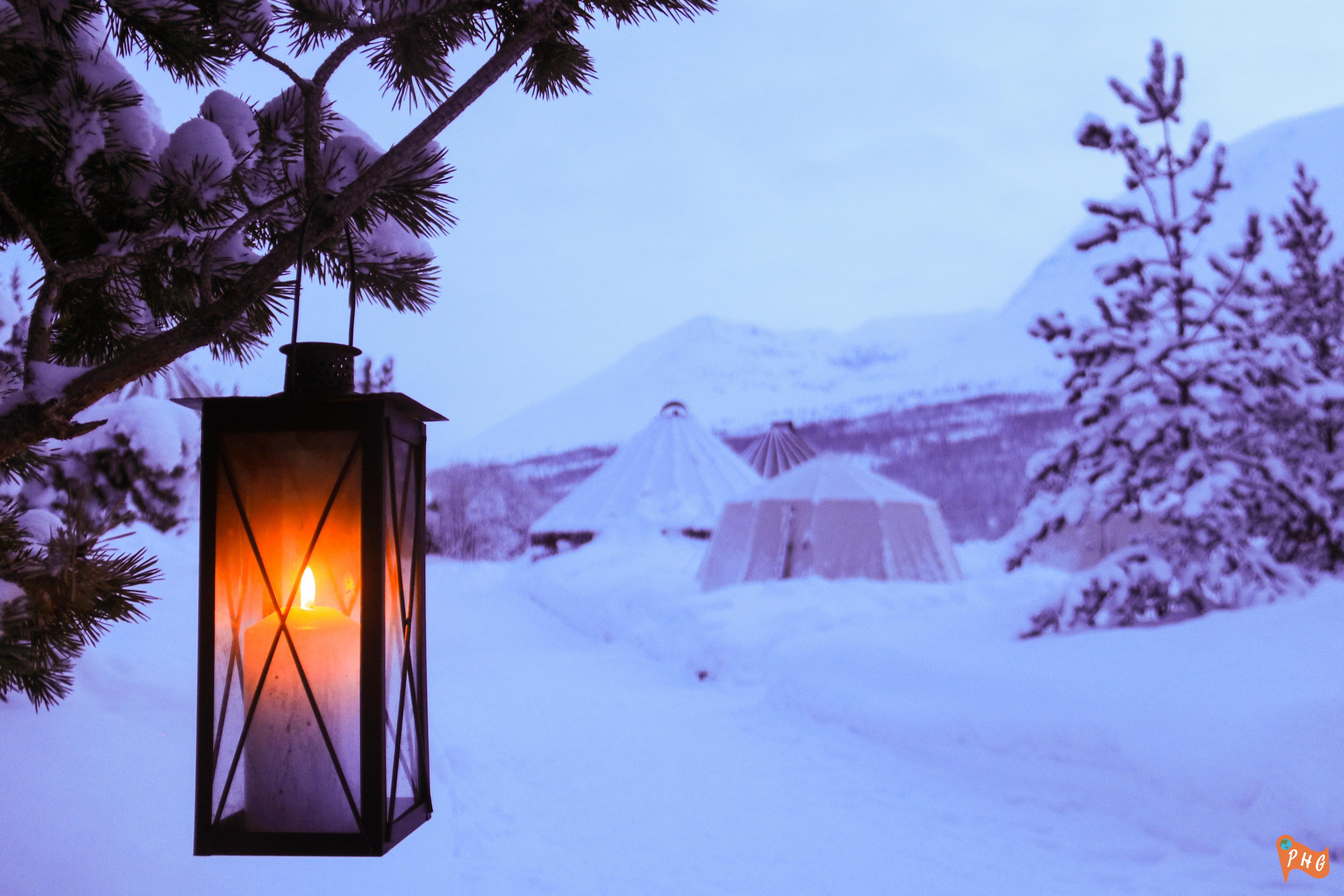Dog Sledding in Tromso Norway: Adventure Guide and Review 16 Camp Tamok, Tromso, Norway