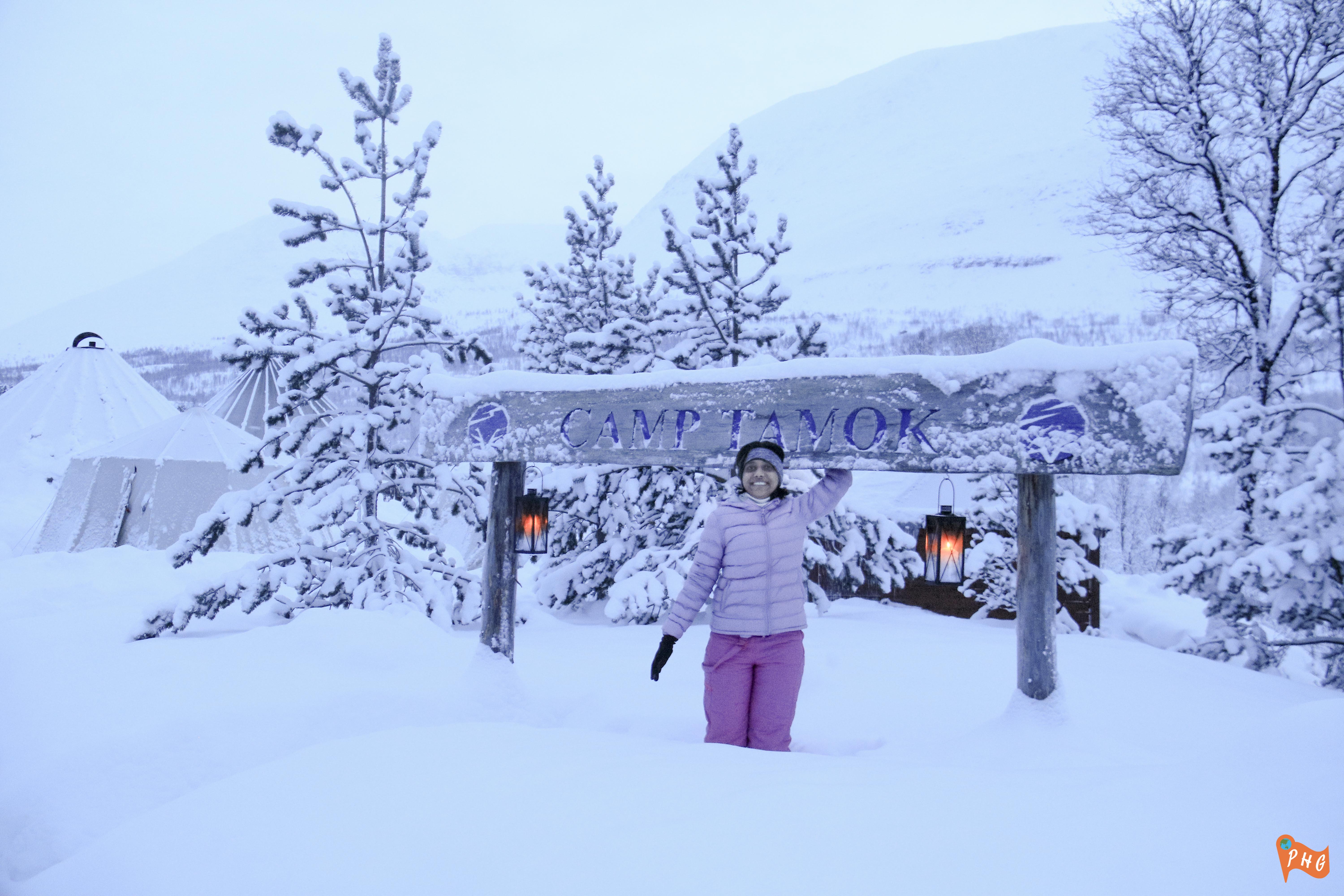 Dog Sledding in Tromso Norway: Adventure Guide and Review 18 Camp Tamok, Tromso, Norway