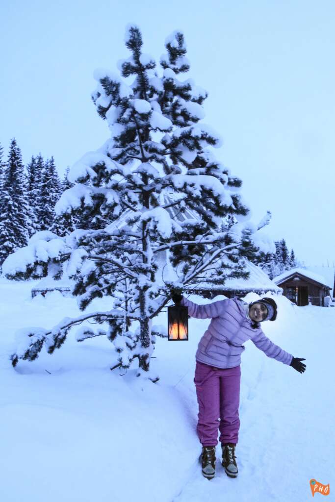 Dog Sledding in Tromso Norway: Adventure Guide and Review 19 IMG 3280 1