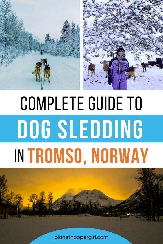 Guide to Dog Sledding Tromso