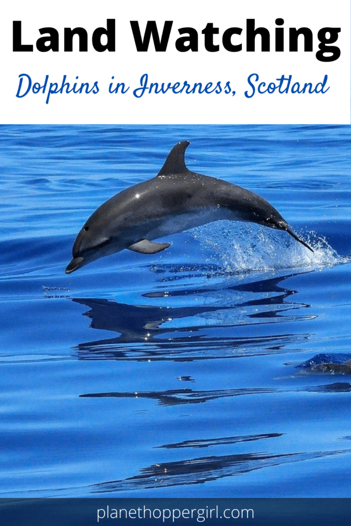 Ultimate Guide to Dolphin Watching in Inverness Scotland (Chanonry Point) 14 Land Watching Dolphins in Inverness Scotland