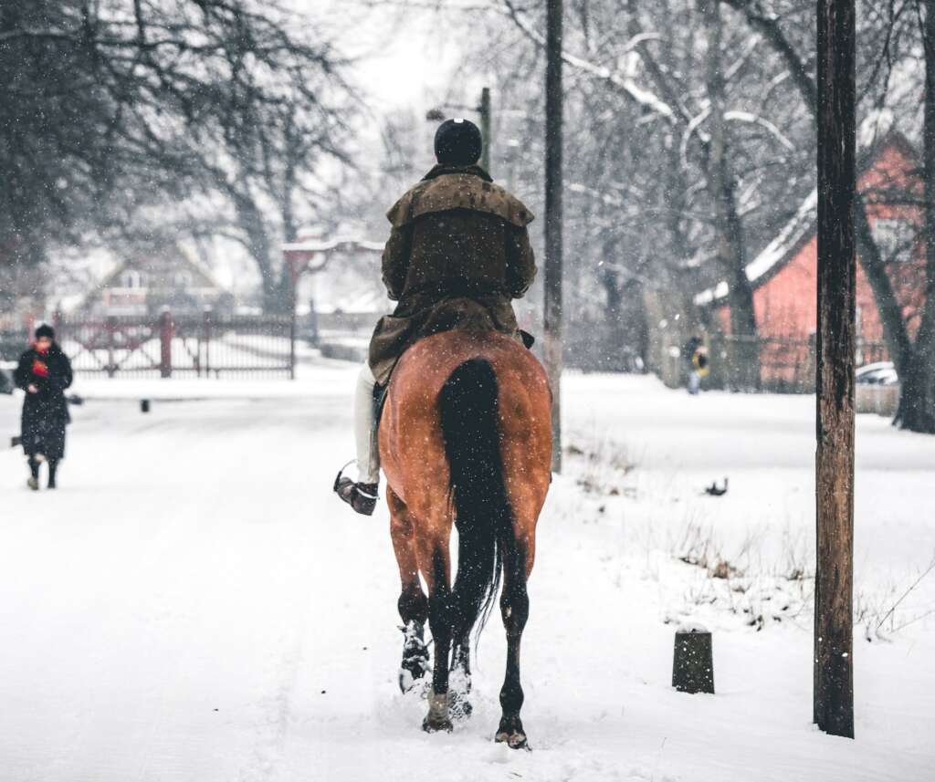 winter horse riding