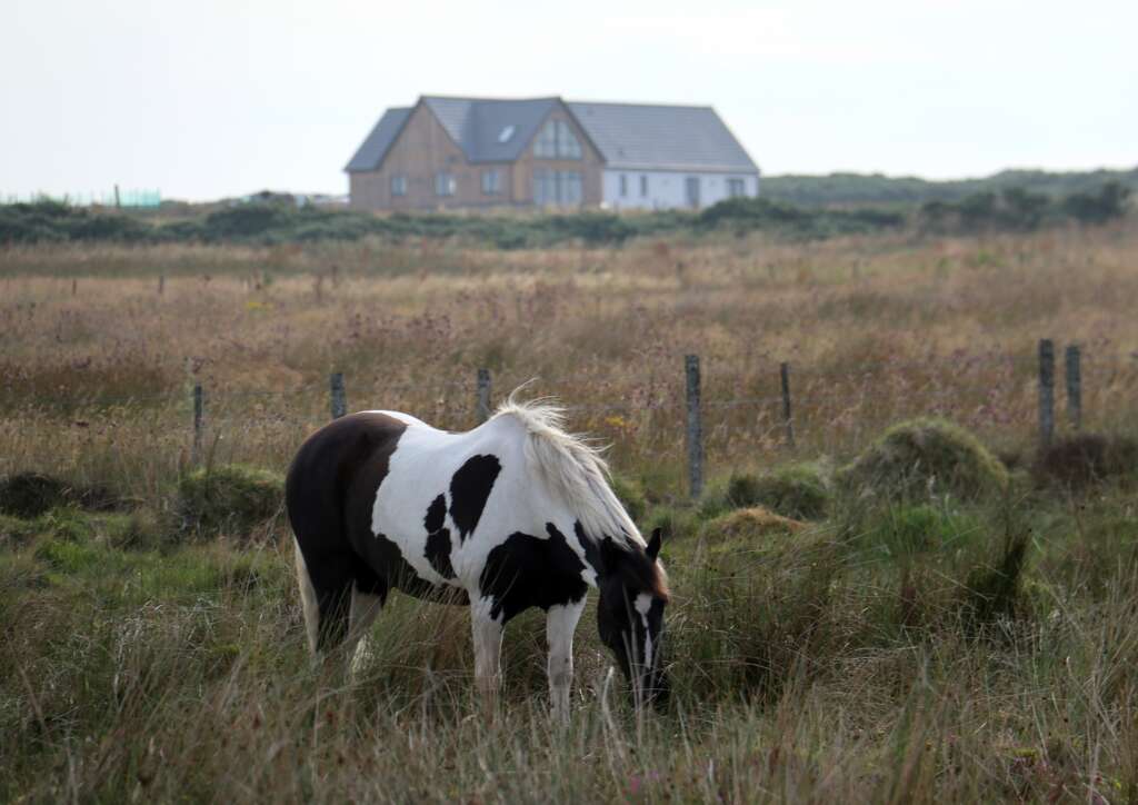 Animals in Scotland