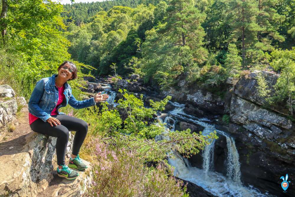 Watching Salmon Leaping Rogie Falls