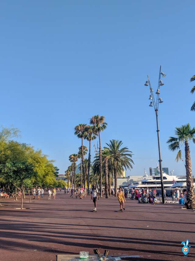 One Week in Barcelona in Summer - Barceloneta