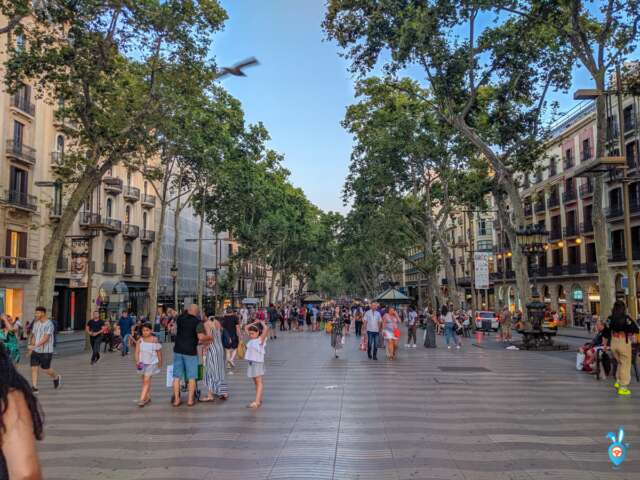 One Week in Barcelona in Summer - La Rambla
