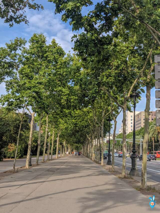 One Week in Barcelona in Summer - Barcelona Walkway