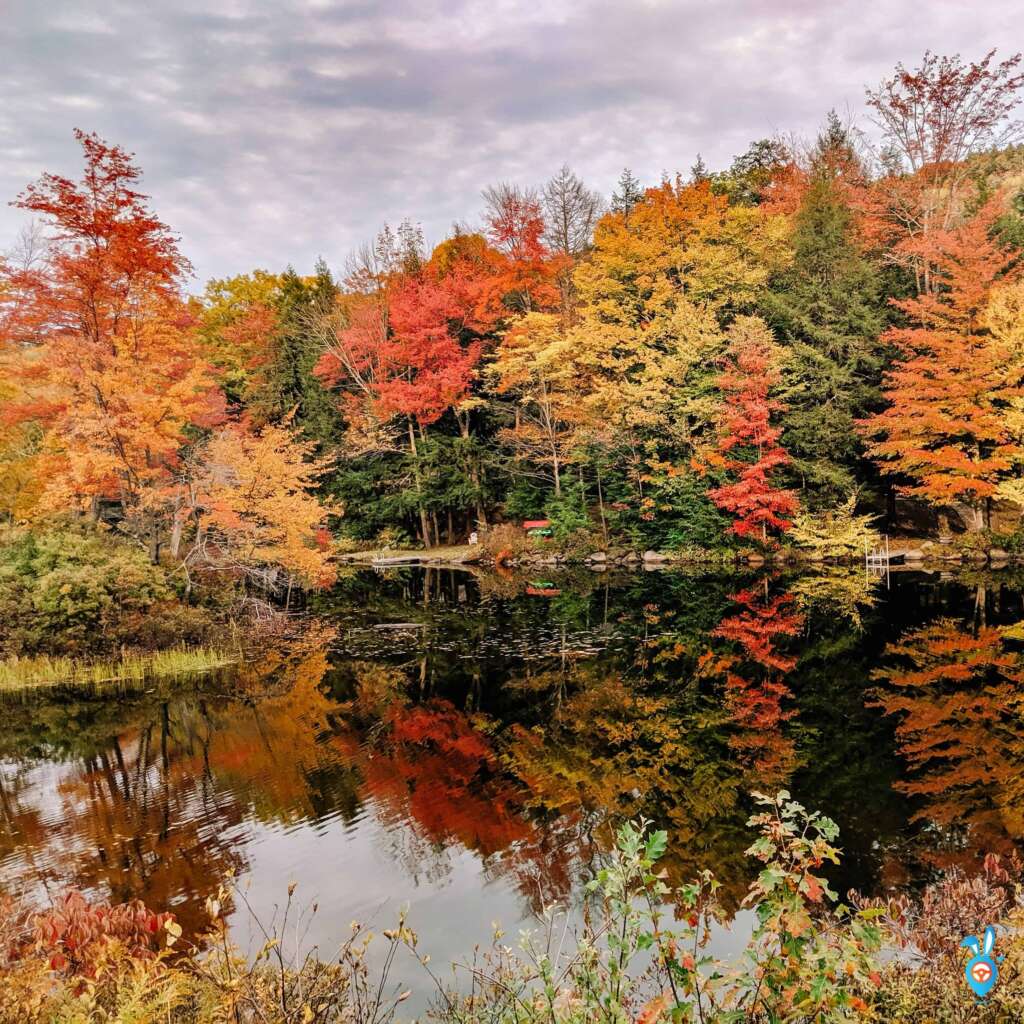 Reflections in Plymouth,  Vermont