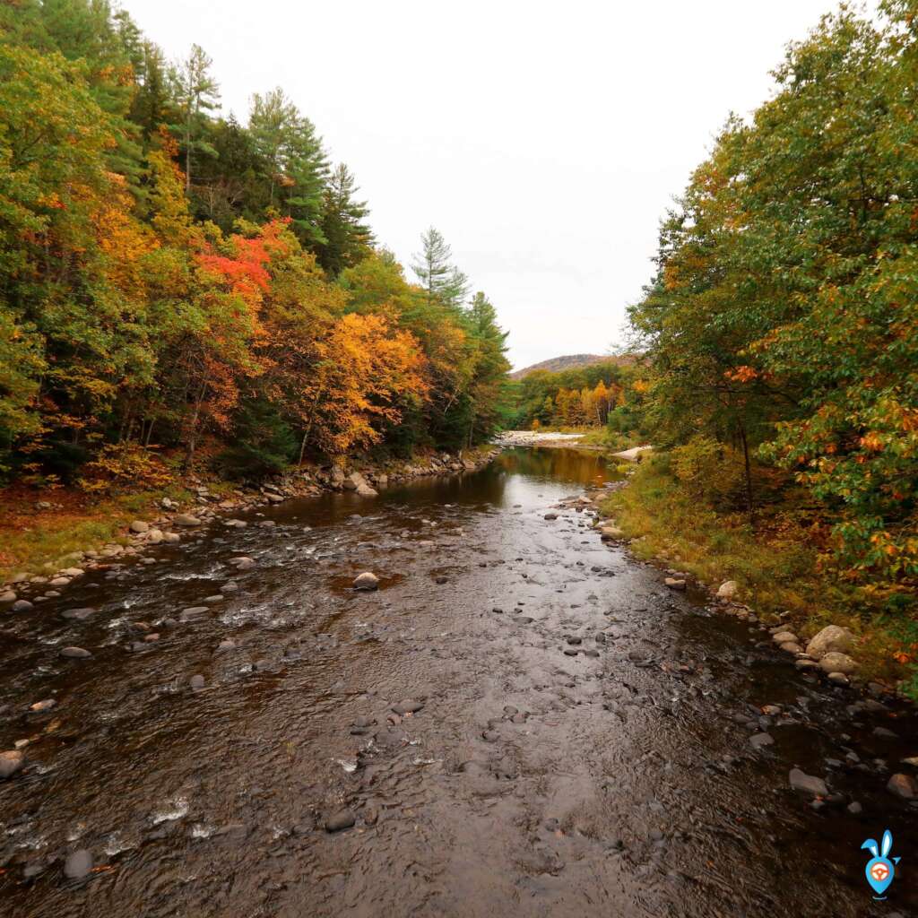 West River in Jamaica State Park, Vermont