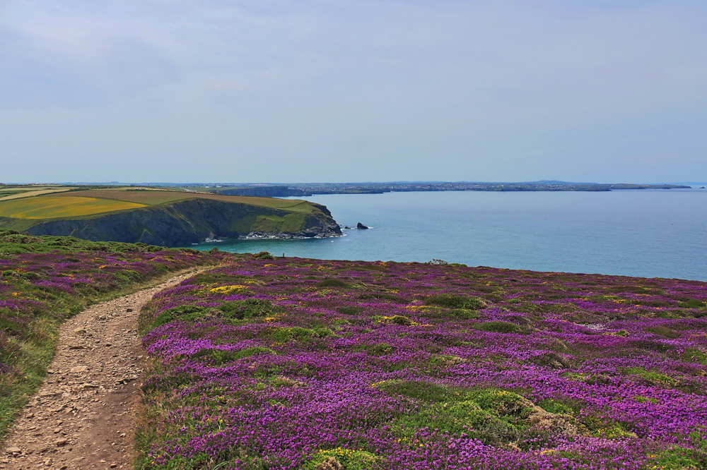 Spring in Cornwall, UK