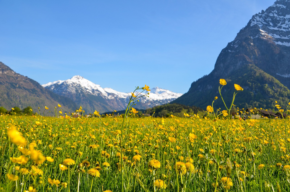 Spring in Switzerland