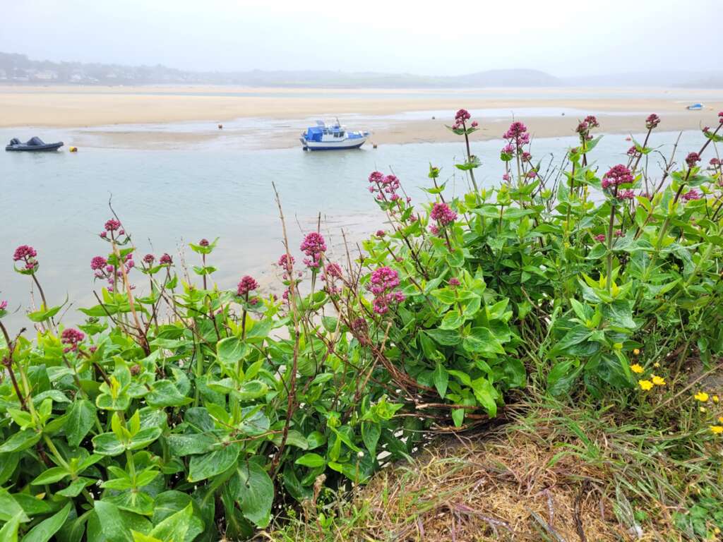 Padstow Cornwall Road Trip Itinerary