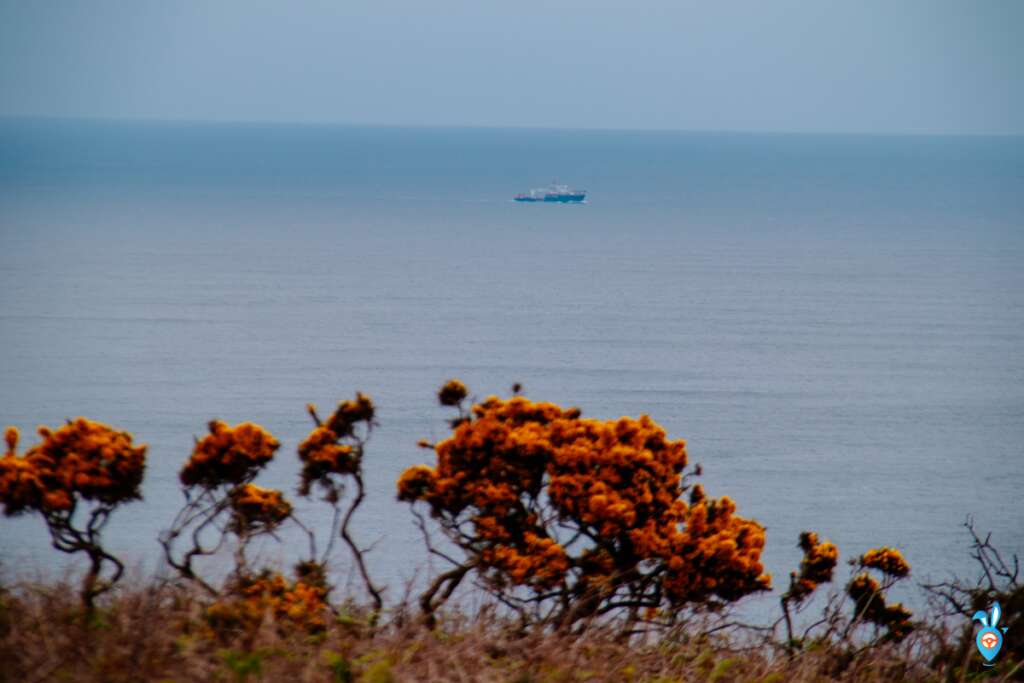 Cornwall coastal scenery with a ship