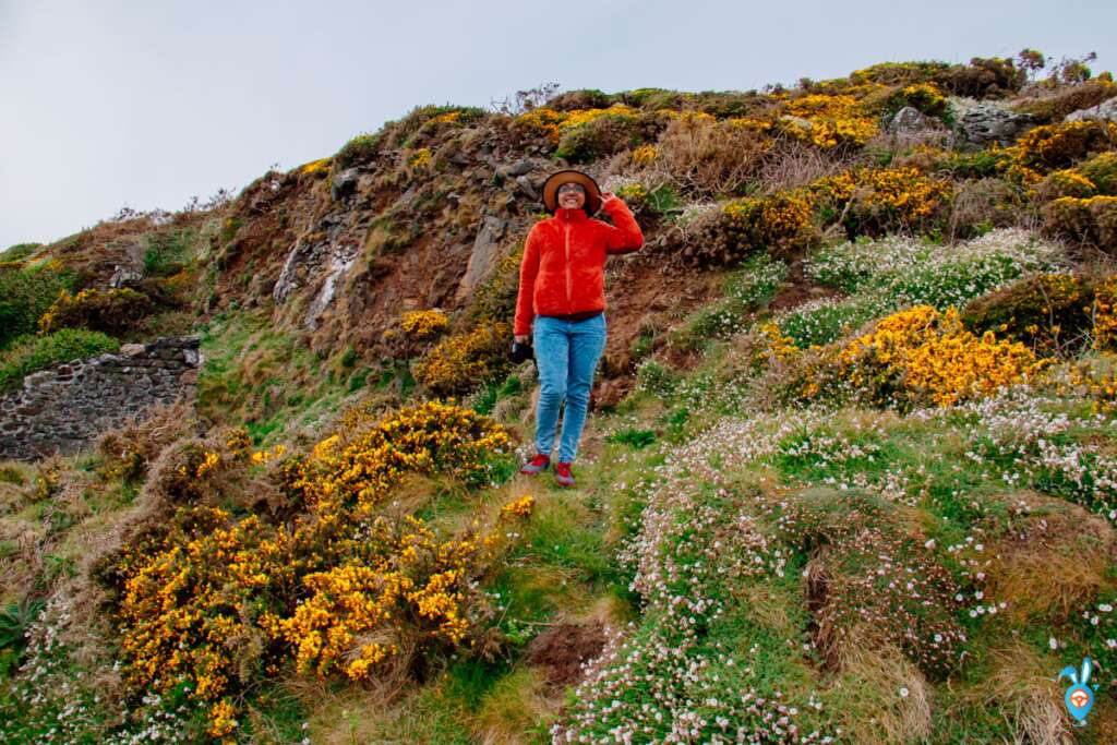 Cornwall Road trip Coastal Scenery and a girl