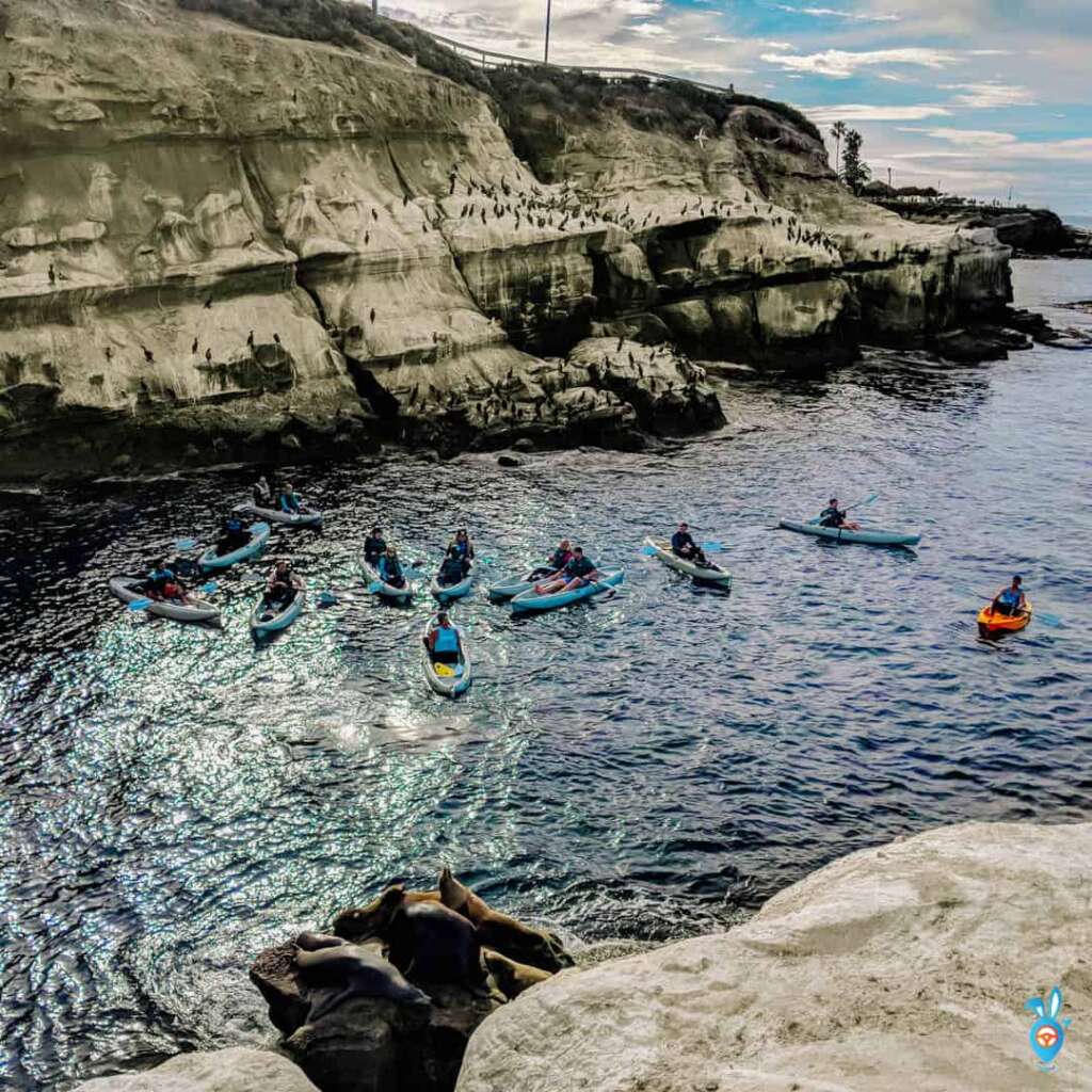 Kayaking in San Diego