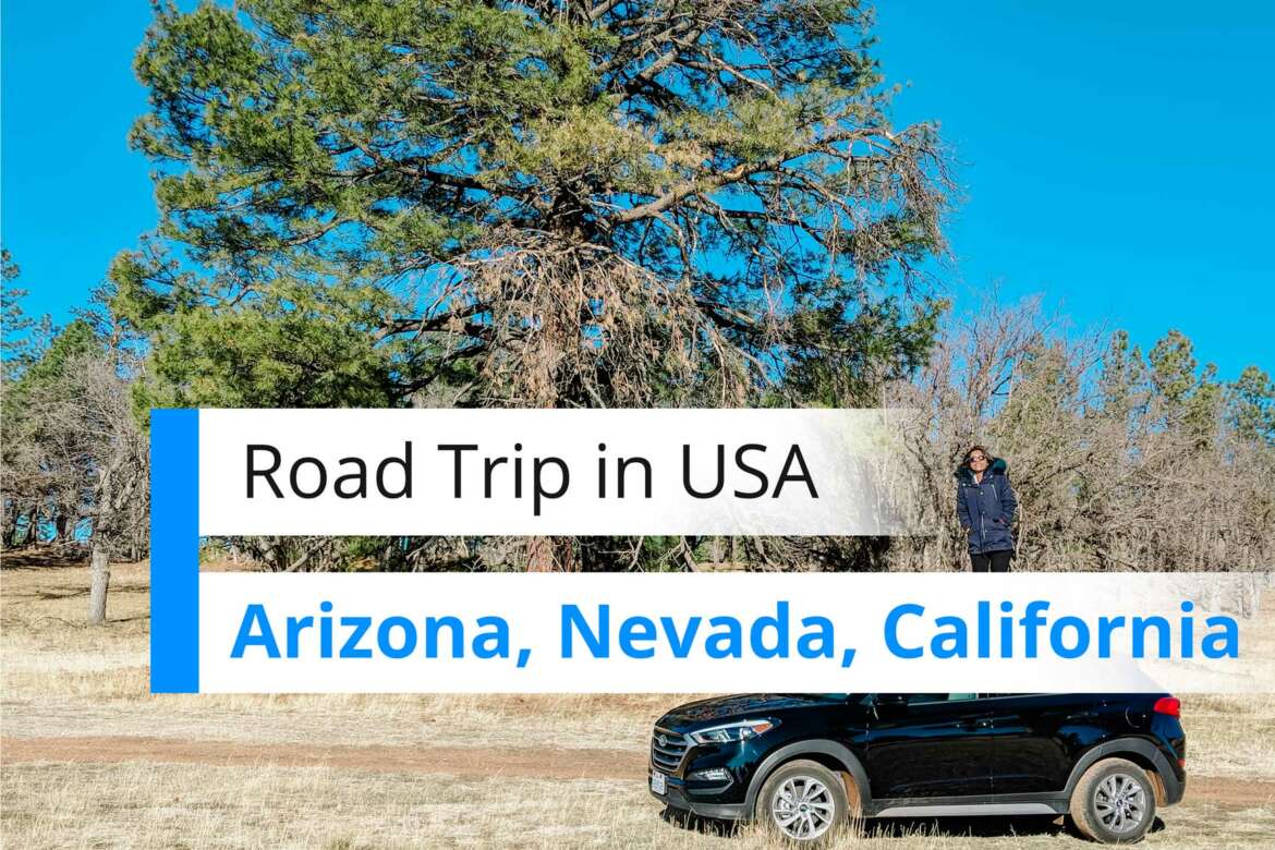 Arizona to California Road Trip via Nevada