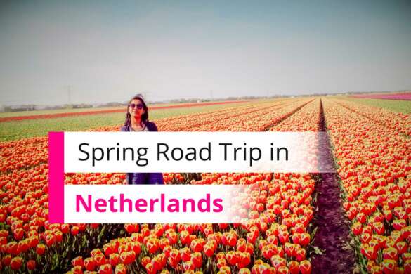Spring Roadtrip Netherlands Tulips Field Giethoorn