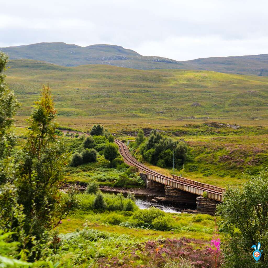 Scotland Road Trip