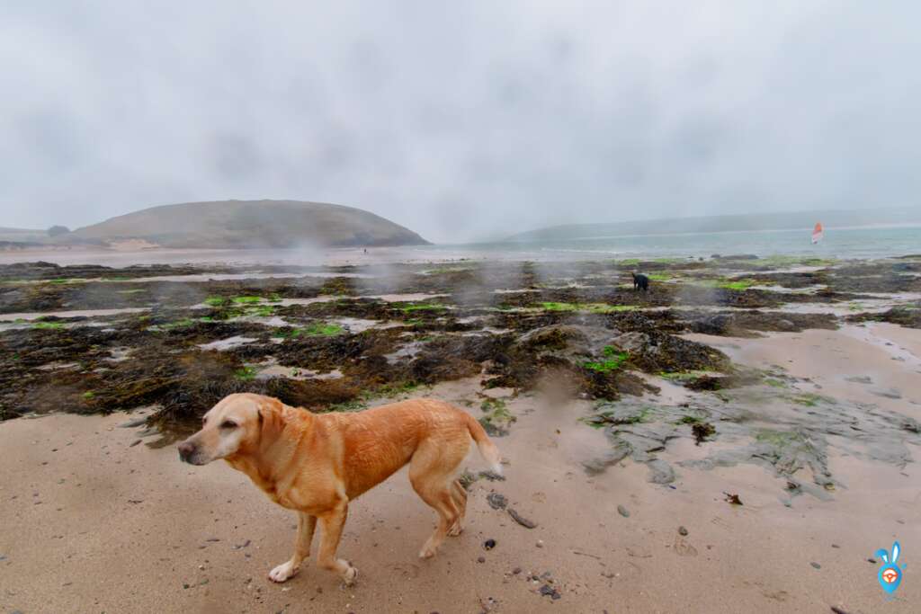 olzeath beach, Cornwall