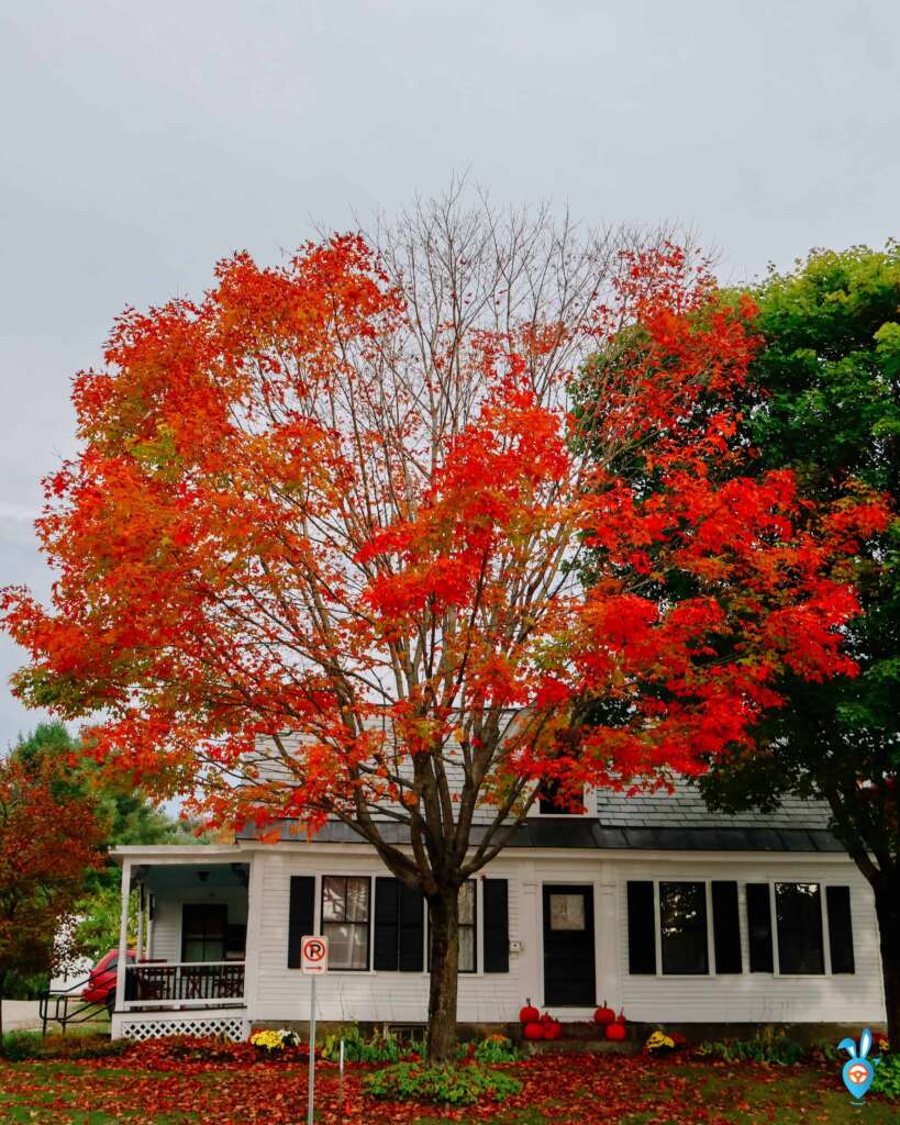 Autumn in Weston Village, Vermont, USA