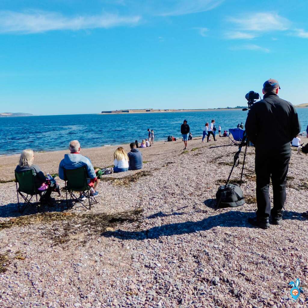 Dolphin Watching in Scotland, Chanonry Point