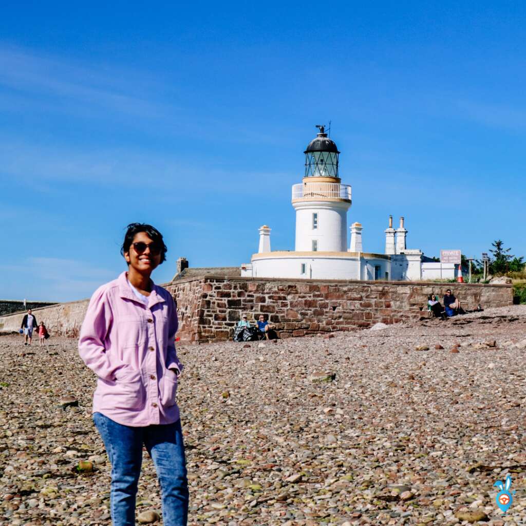 Dolphin Watching in Scotland, Chanonry Point