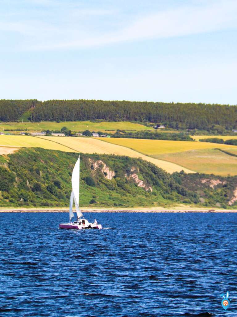 Dolphin Watching in Inverness