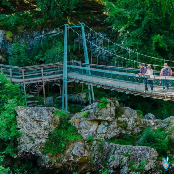 The Best Places To See Salmon Leaping In Scotland A Wildlife Adventure