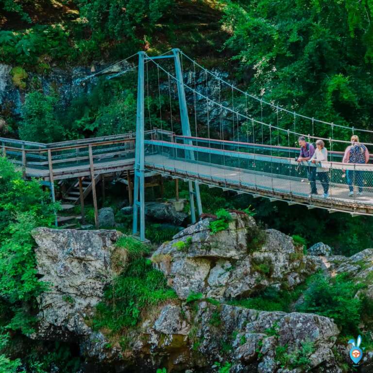 The Best Places To See Salmon Leaping In Scotland A Wildlife Adventure