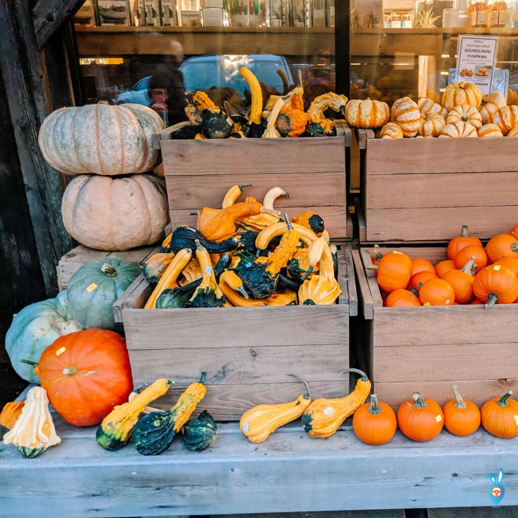 Weston Village Farm Shop