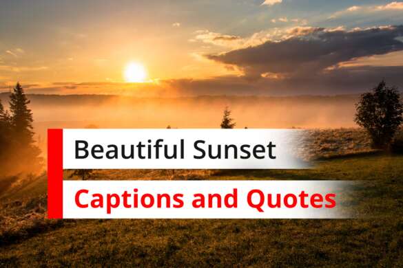 Sunset Quotes